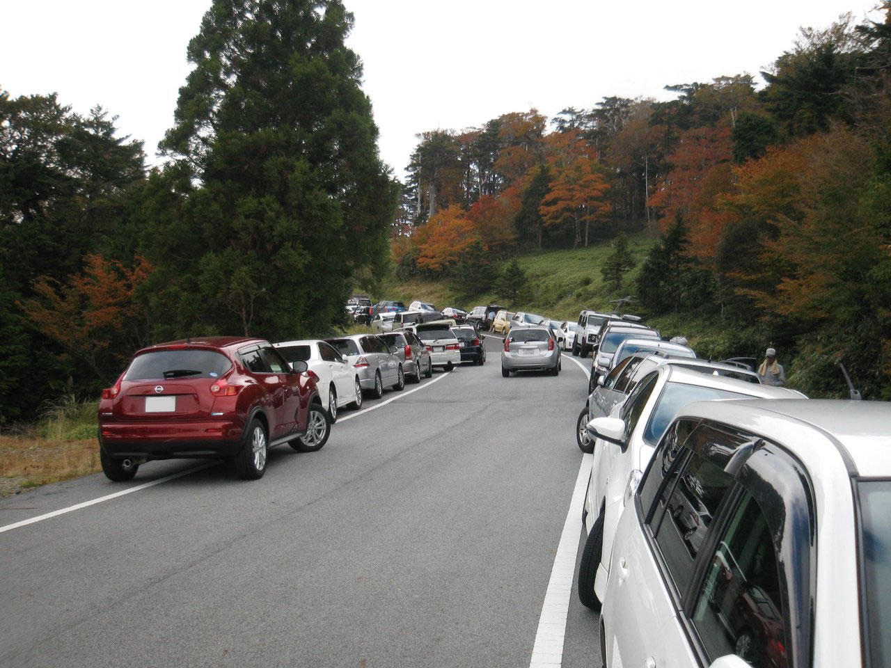 路肩に多くの自動車が駐車している写真