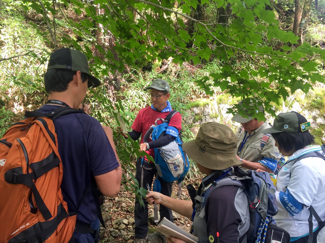 パークボランティアによる観察会の写真