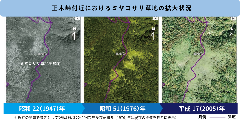 正木峠付近におけるミヤコザサ草地の拡大状況。昭和22(1947)年、昭和51(1976)年、平成17(2005)年の航空写真で、森林が減少し、ミヤコザサ草地が広がっているのがわかる。
