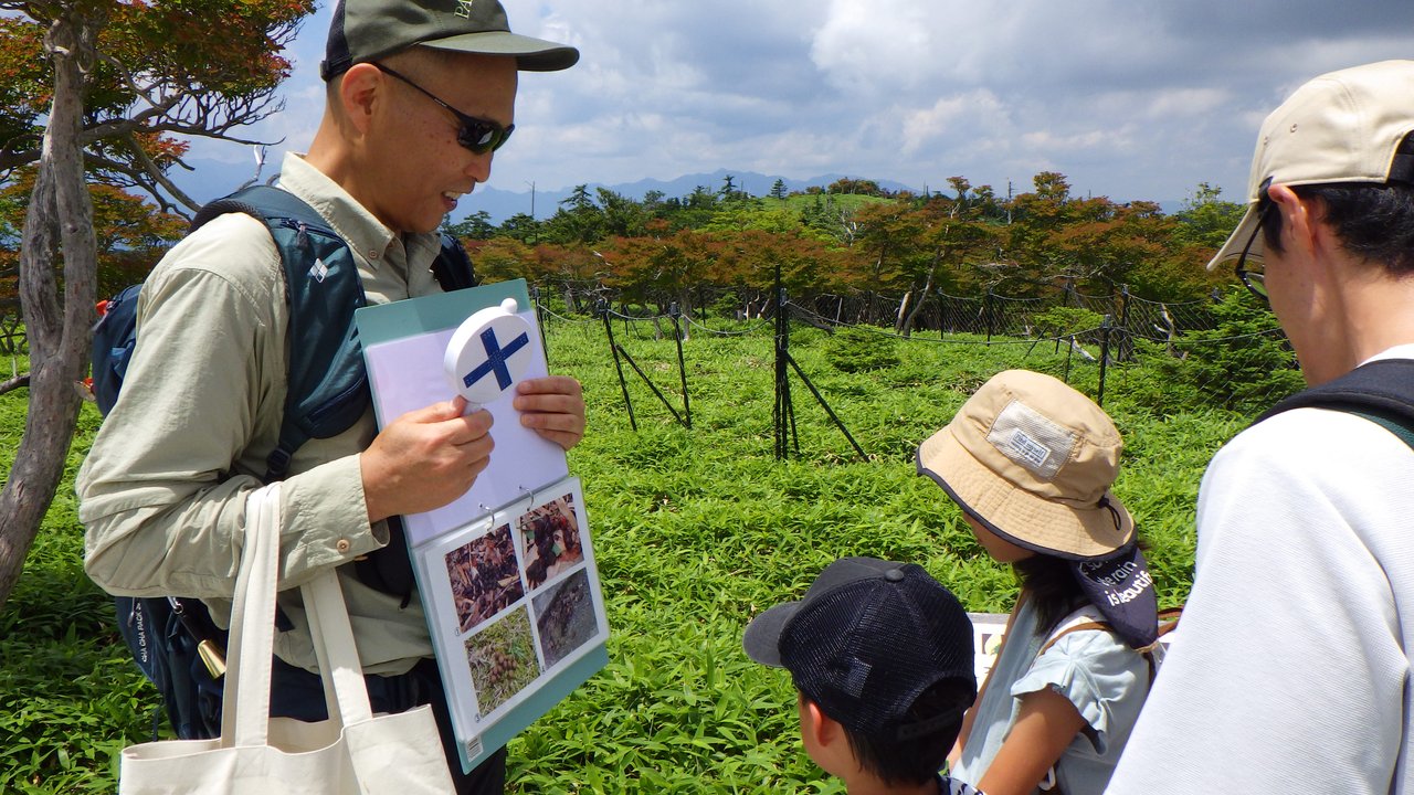 地面のササが刈り取られて、土が見えている写真