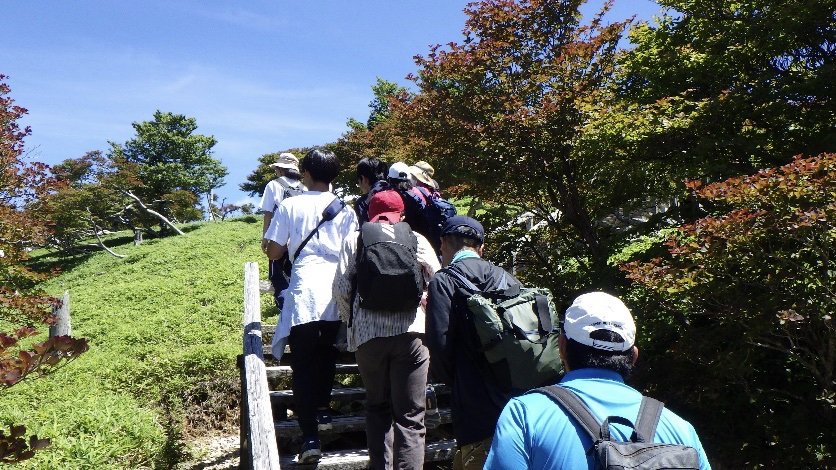 奈良教育大学附属中学校のフィールドワークの様子